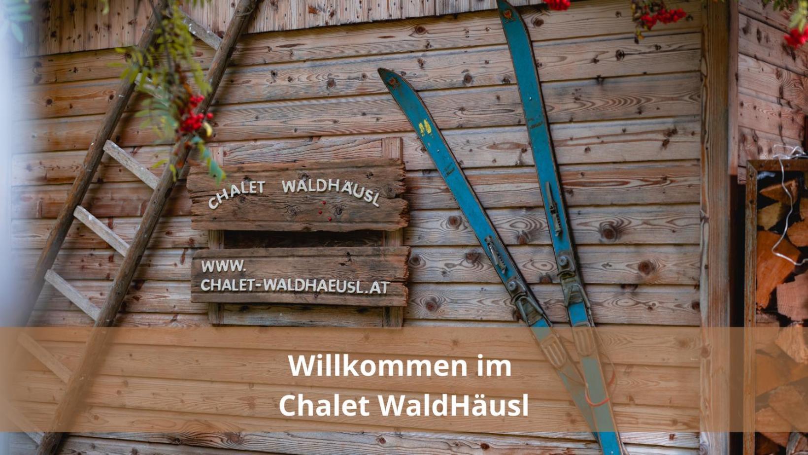 Chalet Waldhaeusl Luxurioese Ferienwohnungen Mit Sauna & Whirlpool, Kamin, Balkon Oder Terrasse Mit Bergblick 하일리겐불루트 외부 사진